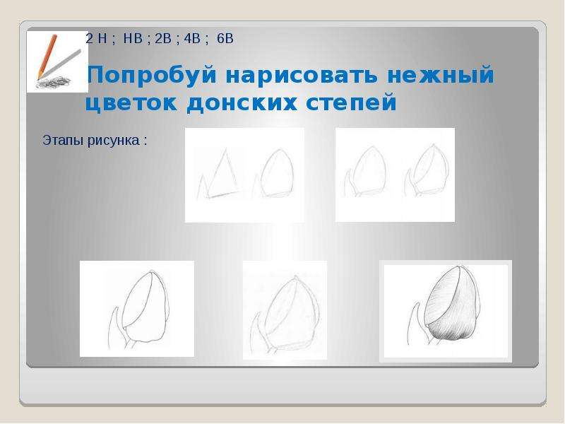 Презентация простой карандаш