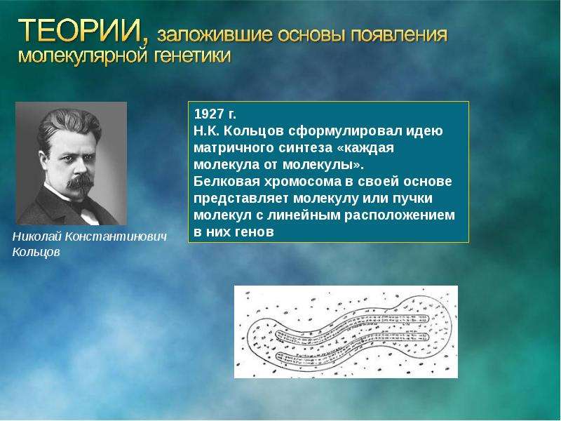 Генетик репродукция. Теорию матричного синтеза предложил. Теория генетики. Появление матричного синтеза. Основы генетики заложил.