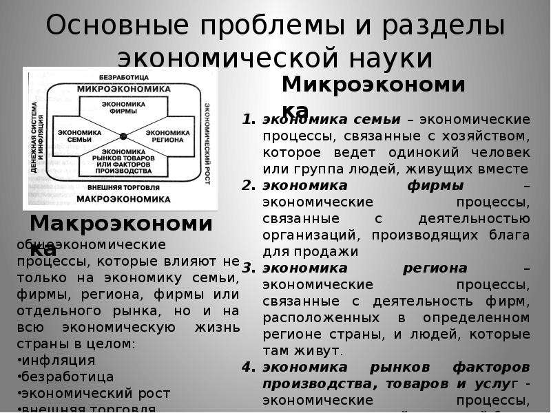 Экономикой знаний называют. Основные разделы экономической науки. Основные проблемы экономической науки. Основные проблемы и разделы экономической науки. Основные проблемы экономической Наушке.