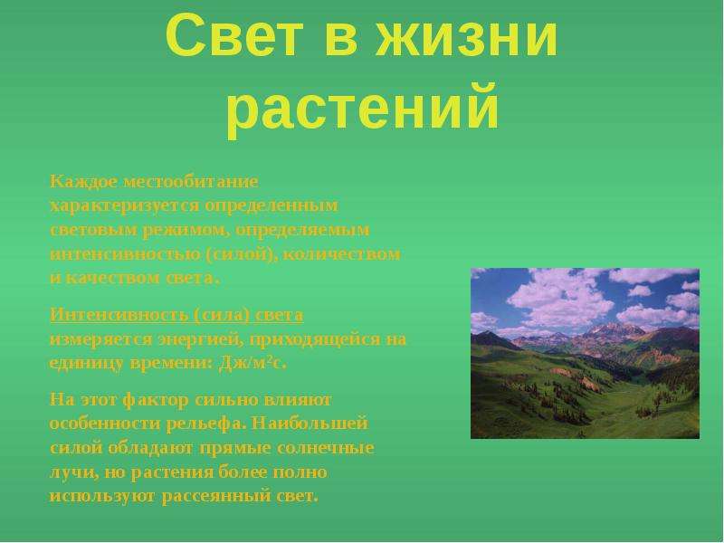 Роль света в жизни растений презентация