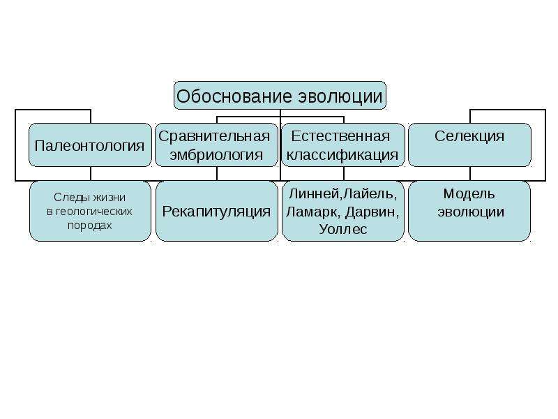 Охарактеризуйте вклад эмбриологии и палеонтологии в понимание картины эволюционного процесса