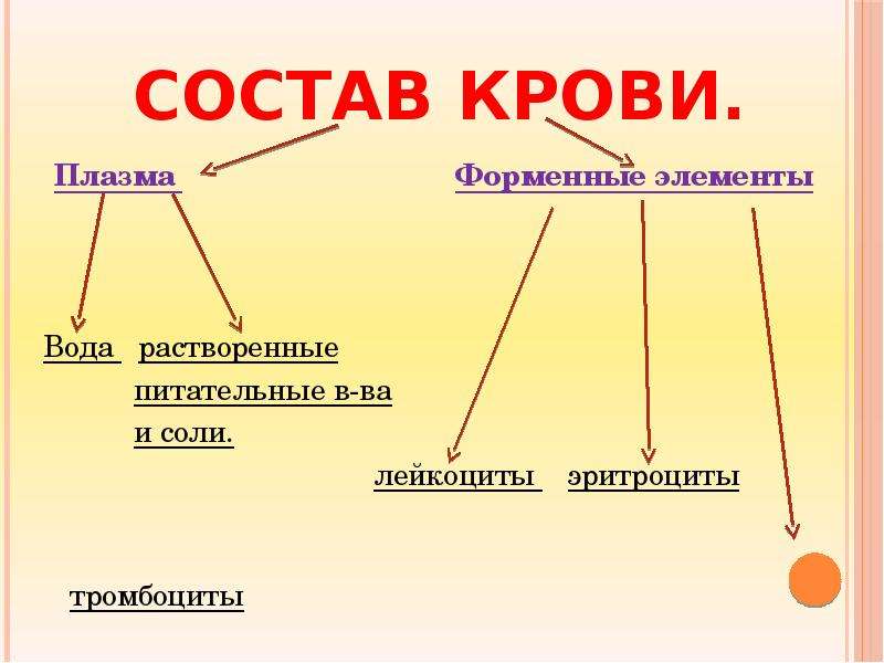 Какие классы состоят из. Состав плазмы крови схема. Схема кровь плазма форменные элементы. Функции плазмы и форменных элементов крови. Состав крови у животных схема.