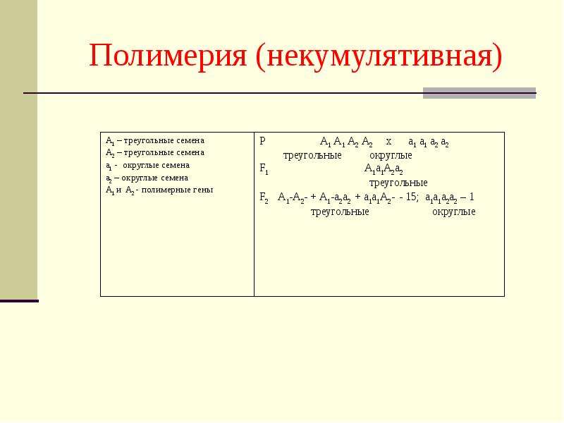 Полимерия это. Некумулятивная Полимерия. Некумулятивная Полимерия примеры. Полимерия задачи по генетике. Полимерия кумулятивная и некумулятивная.