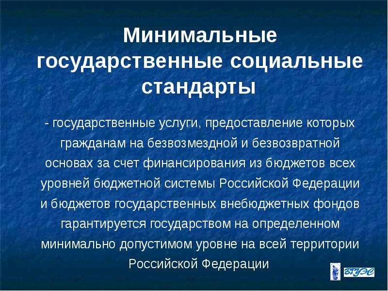 Социальные стандарты. Государственные социальные стандарты. Минимальные социальные стандарты. Уровни социальных стандартов. Государственные минимальные стандарты.