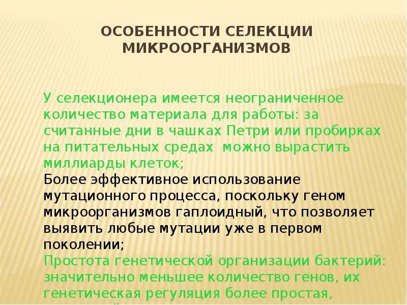 Презентация пименов селекция микроорганизмов