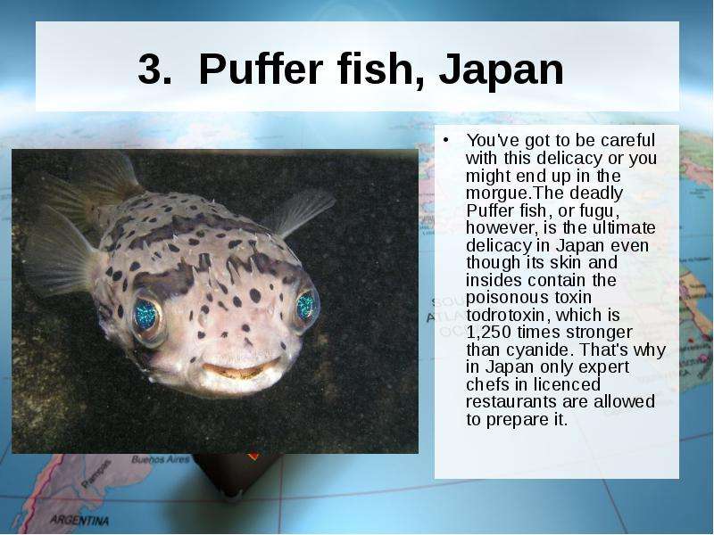 I fish перевод. Pufferfish перевод. Puffer перевод. Fish перевод. Map Puffer рыба.
