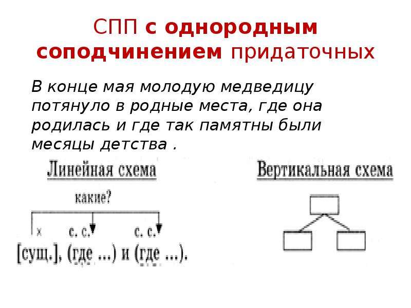 Схема сложноподчиненного предложения с однородными сказуемыми