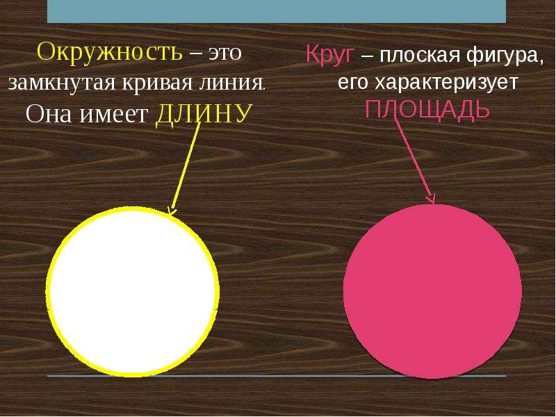 Чем отличается окружность от круга 3 класс. Чемтотличается круг от окружности. Чем отличается круг от окру. СНМ отличается круг от окружности. Круг и окружность различия.