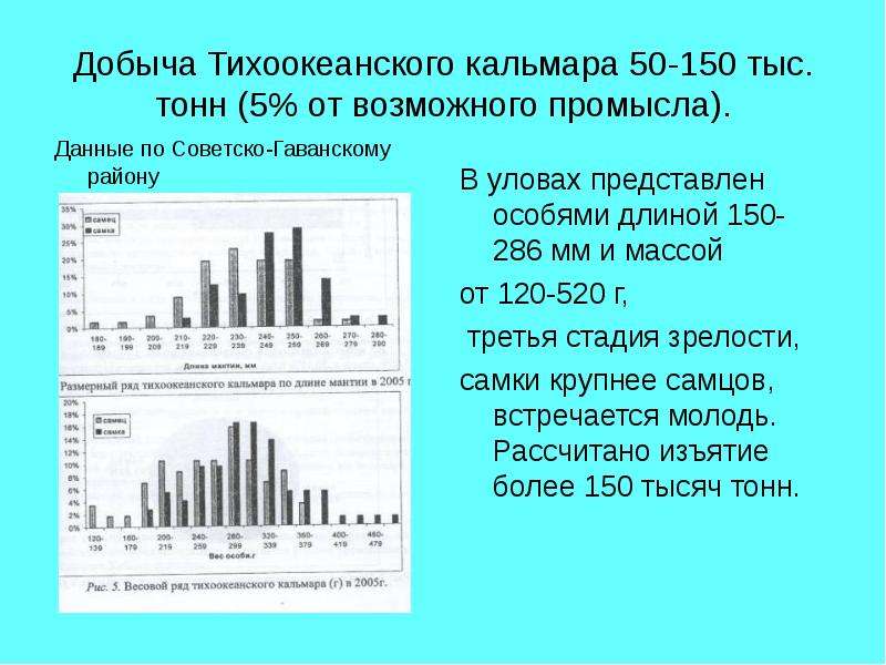 Добыча Тихоокеанского кальмара 50-150 тыс. тонн (5% от возможного промысла). Данные по Советско-Гава