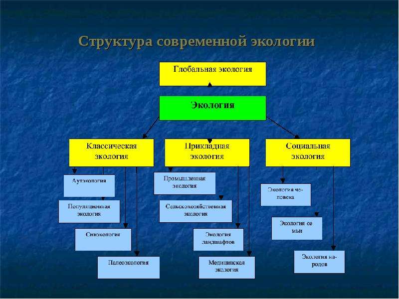 Структура современной. Структура экологии схема. Структура современной экологии схема. Перечислите структуру современной экологии.. Структура классической экологии.