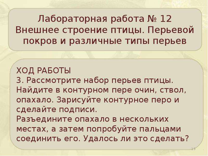 Рассмотрите перьевой покров однороден ли он равномерно. Лабораторная работа внешнее строение птицы. Строение перьев. Внешнее строение птиц 8 класс лабораторная работа. Перьевой Покров птиц.