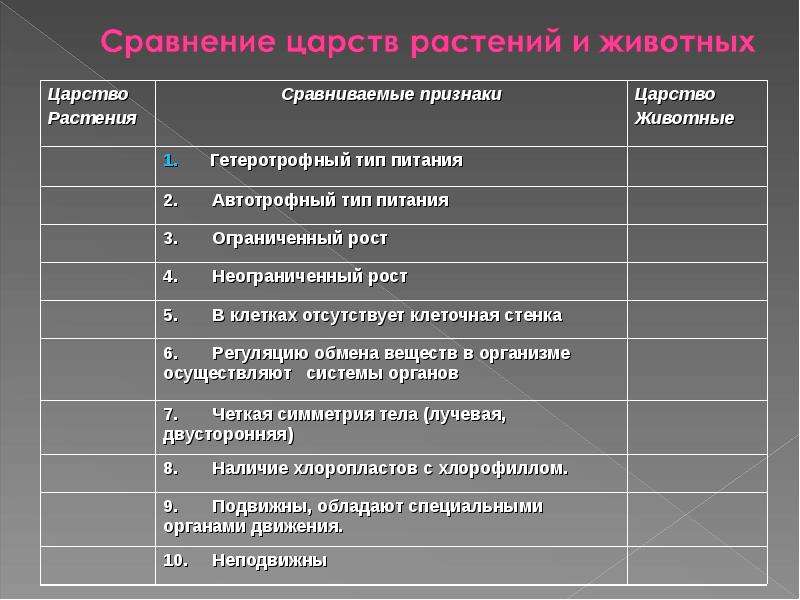 Характеристика царства животных 5 класс биология презентация