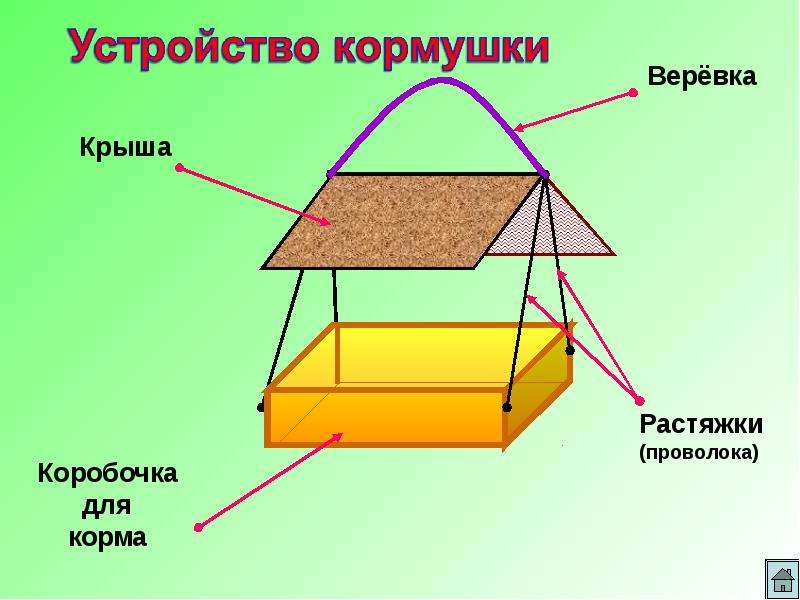 Проект умная кормушка