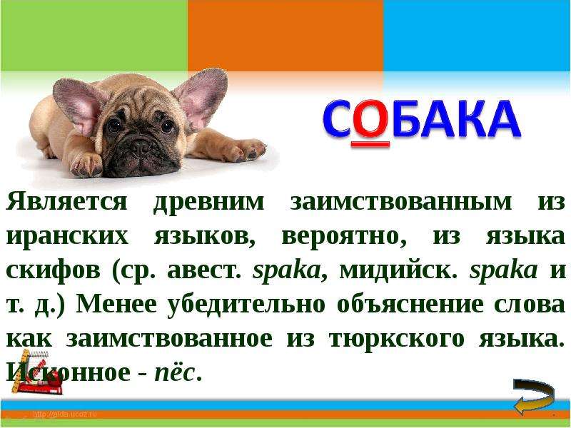 Большая буква в именах людей и кличках животных 1 класс планета знаний презентация