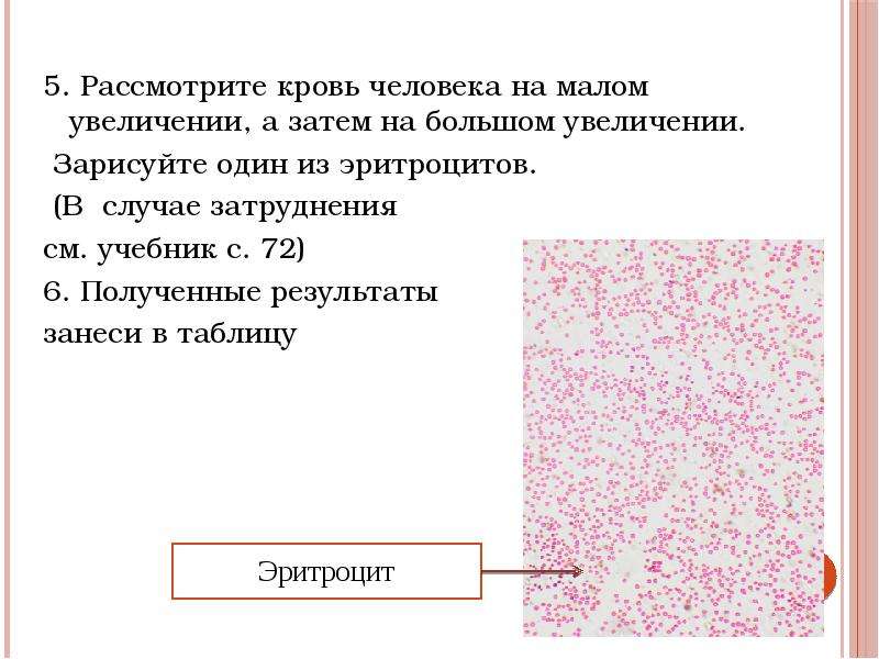 Увеличение рассмотреть. Один из эритроцитов человека. Эритроциты человека при большом увеличении. Кровь человека при большом увеличении. Кровь человека при Малом и большом увеличении.