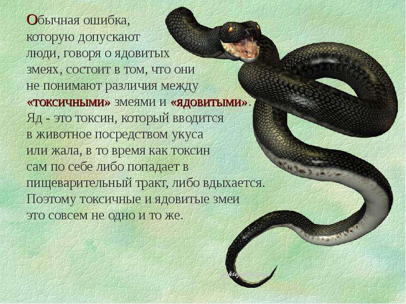 Читать про змей
