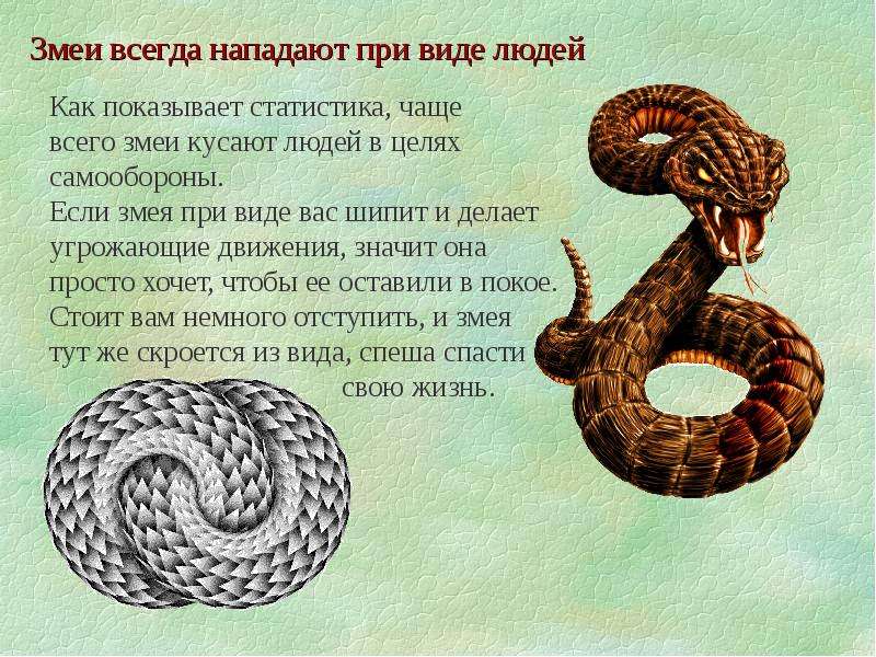 Змейка текст
