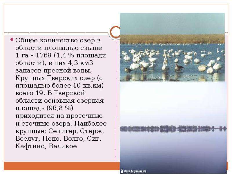 Количество озер. Озера Тверской области презентация. Водоемы Тверской области. Озёра Тверской области доклад. Озера и водохранилища Тверской области.