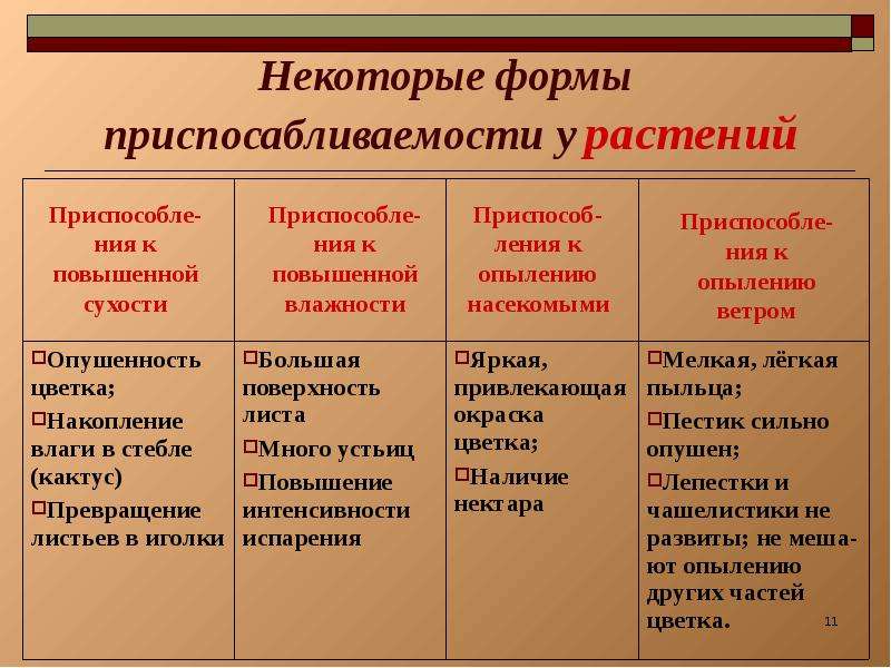 Некоторые формы. Некоторые формы приспособленности у растений таблица. Формы приспособления у растений таблица. Некоторые формы приспосабливаемости у растений таблица. Формы приспосабливаемости у животных таблица.