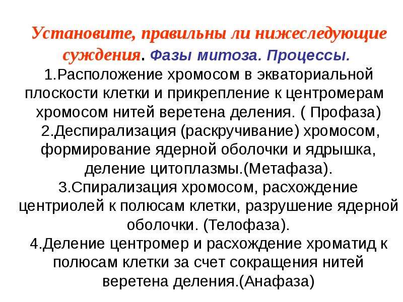 Деспирализация. Расположение хромосом в экваториальной плоскости клетки. Деспирализация хромосом. Деспирализация это в биологии. Фаза, в которой происходит деспирализация хромосом.