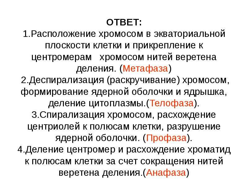 Деспирализация. Расположение хромосом в экваториальной плоскости клетки. Деспирализация хромомосом. Формирование экваториальной плоскости происходит в. Хромосомы располагаются в экваториальной плоскости клетки.