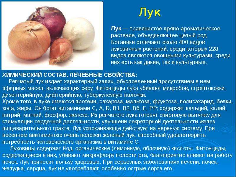 Чем полезен для организма мужчины. Химия на кухне презентация. Химия на кухне сообщение. Химические процессы на кухне. Химия на кухне сообщение по химии.