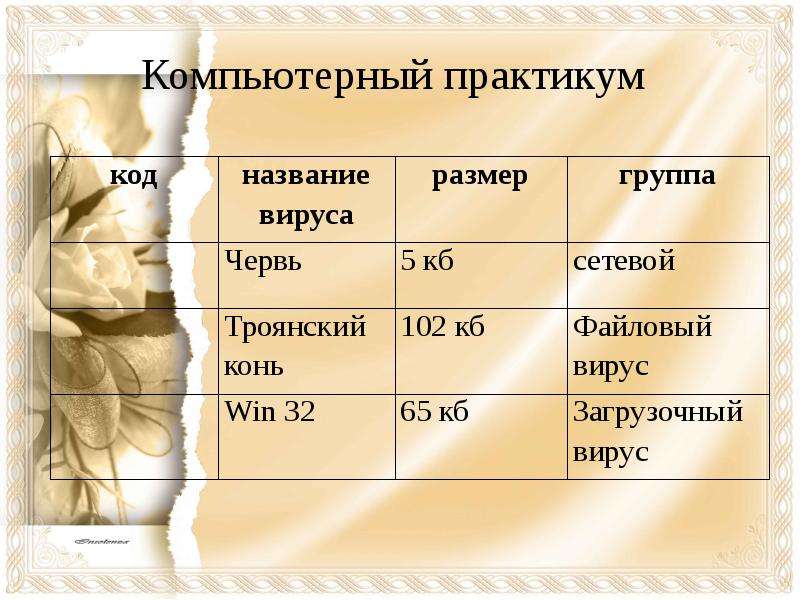 Компьютерный практикум 7 9 класс. Практикум название. Кодовые названия вирусов. Размер группы. Размерная группа: 65.