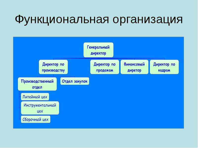 Функциональная организация. Функциональн организации. Что такое функциональная компания. Название организаций функционал.