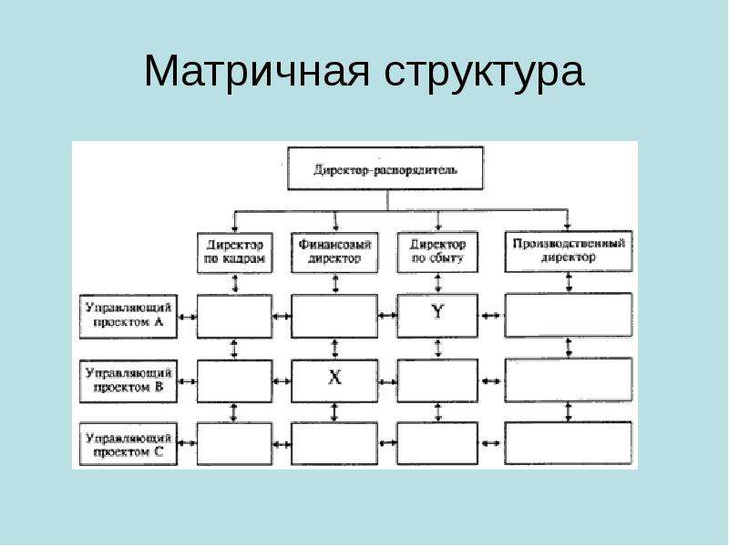 Матричная организационная структура проекта