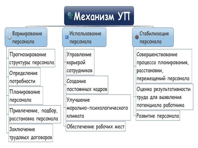 Формирование использование. Место и роль управления персоналом в системе управления организацией. Формирование персонала структура организации. Место отдела персонала в компании. Организационных механизмов развития персонала.