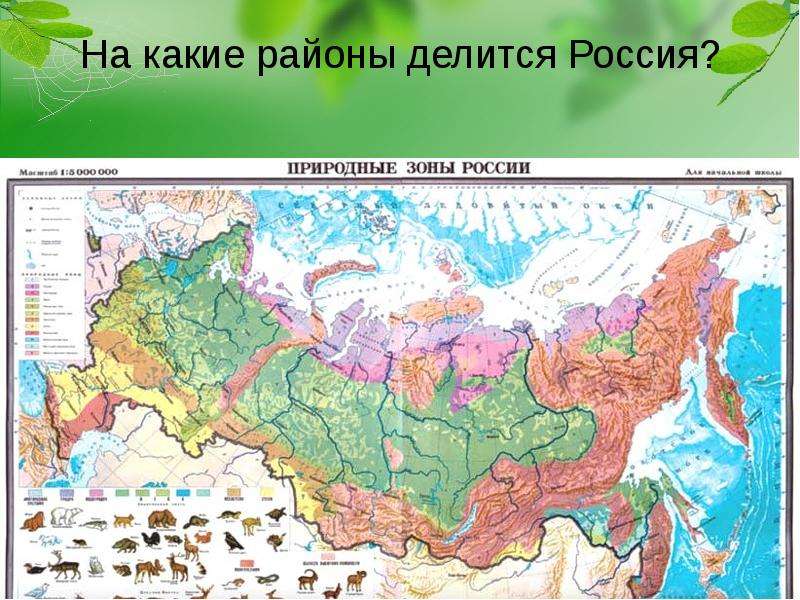 Географическая карта с зонами россии природными