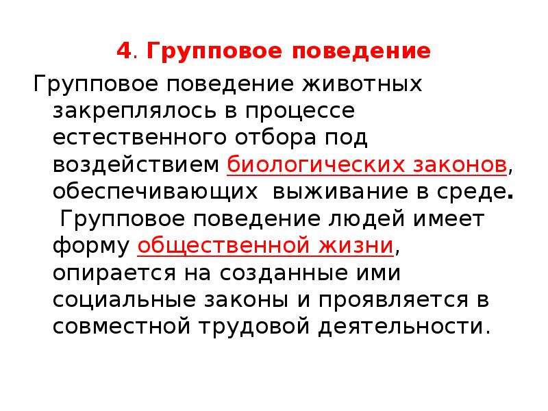 Групповое поведение. Групповое поведение животных. Групповое поведение людей. Поведение человека и животных. Формы группового поведения.