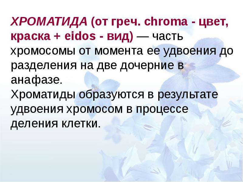 Хроматиды это. Что такое хроматида 6 класс биология. Хроматиды это кратко. Хроматиды это в биологии кратко. Термин хроматида.