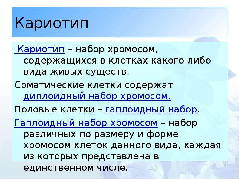 Гаплоидный набор хромосом содержит. Гаплоидный набор хромосом. Гаплоидный набор хромосом это набор. Гаплоидный и диплоидный набор хромосом. Гаплоидный набор содержат клетки.