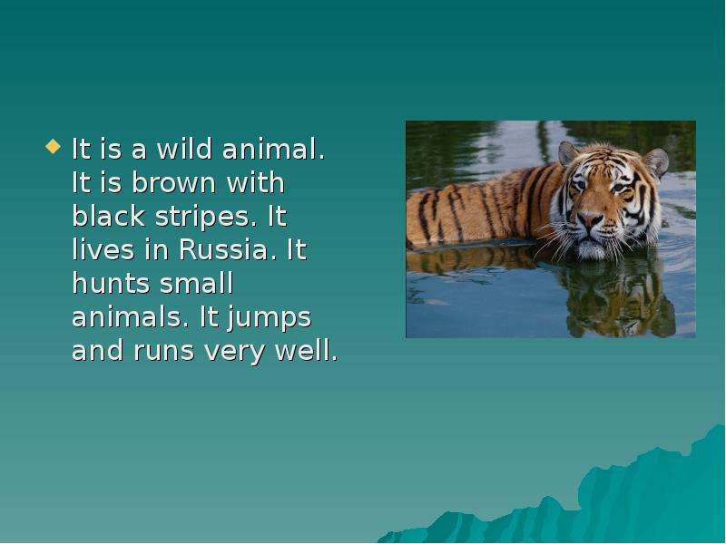 Runs very well. Animals in Russia 5 класс. Презентация по английскому языку 5 класс на тему животные. The animals of Russia 5 класс. World animals 5 класс.