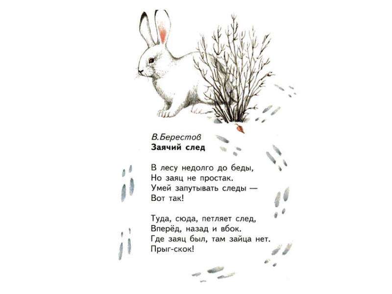 Текст песни по следам. Берестов Заячий след. Заячьи следы. Стихотворение про зайца для детей. Заячьи следы стихотворение.