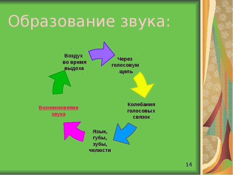 Звуки образуют. Схема механизма образования звука речи. Механизм образования звуков речи. Механизм образования речи схема.