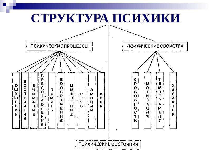 Схема психических процессов