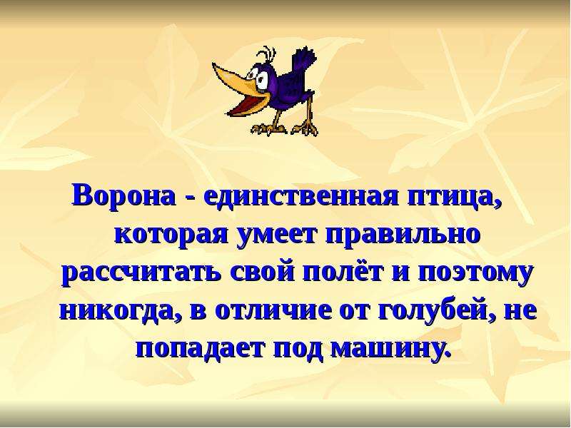 Единственная птица. Единственная птица которая не умеет ходить. История гласит единственная птица.