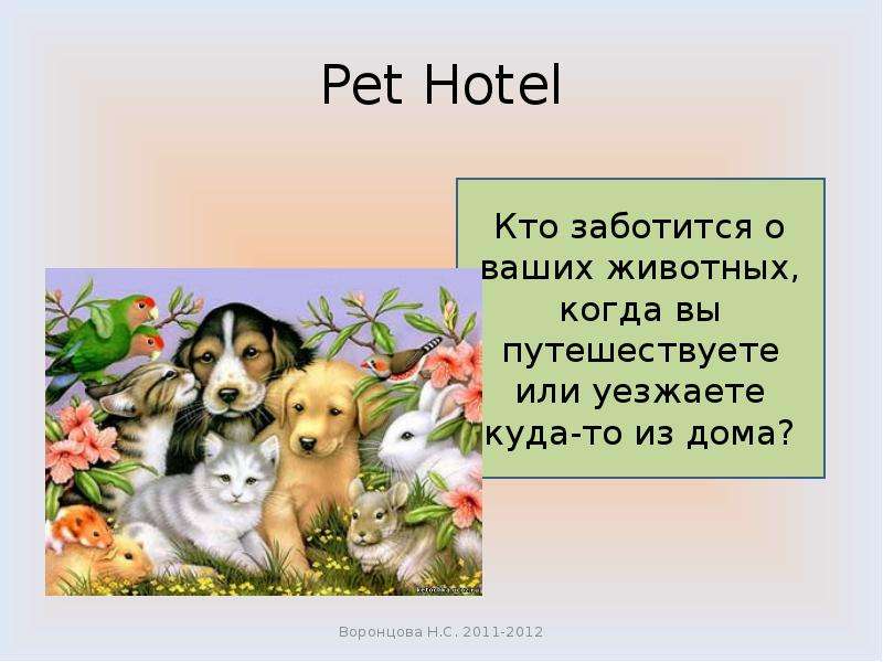 Питомец доклад. Презентация мой питомец. Презентация мой питомец 1 класс. Мои питомцы. Рассказ о Моем питомце.