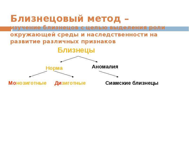 Метод роли. Близнецовый метод исследования. Близнецовый метод цель. Близнецовый метод изучения наследственности. Близнецовый метод цель исследования.