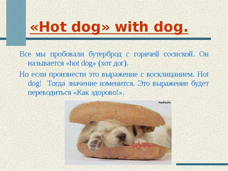 Слово dog