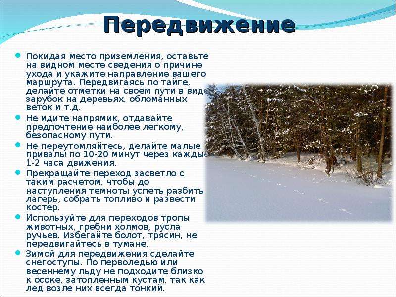 В тайге по мере того как приближались холода оставаться становилось опасно схема