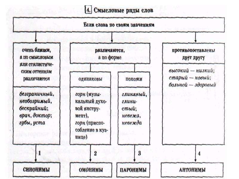 Паронимы 10 класс технологическая карта урока