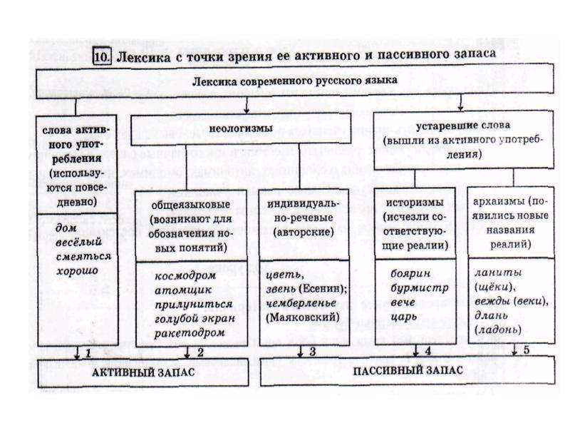 Лексика с точки зрения происхождения и употребления. Происхождение лексики современного русского языка схема. Происхождение лексики современного русского языка таблица. Лексика русского языка таблица. Лексика современного русского языка таблица.