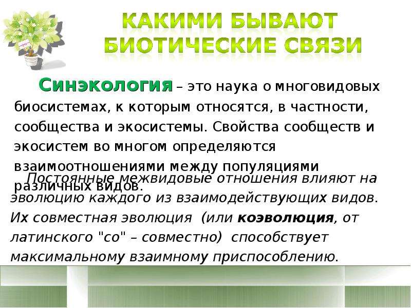 Синэкология. Синэкология изучает взаимосвязи между. Синэкология экология сообществ. Формы биотических связей. Синэкология примеры.