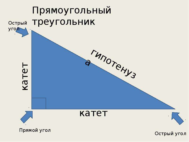 Фото л г петерсон