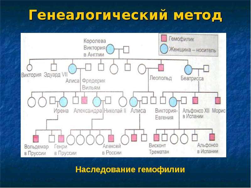 Генеалогический метод схема