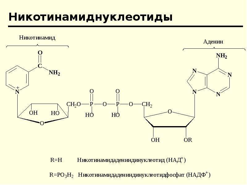 Очистка нуклеиновых кислот. Нуклеиновые кислоты презентация. Межплоскостные взаимодействия нуклеиновых оснований. Номенклатура нуклеиновых кислот. Качественные реакции на нуклеиновые кислоты.