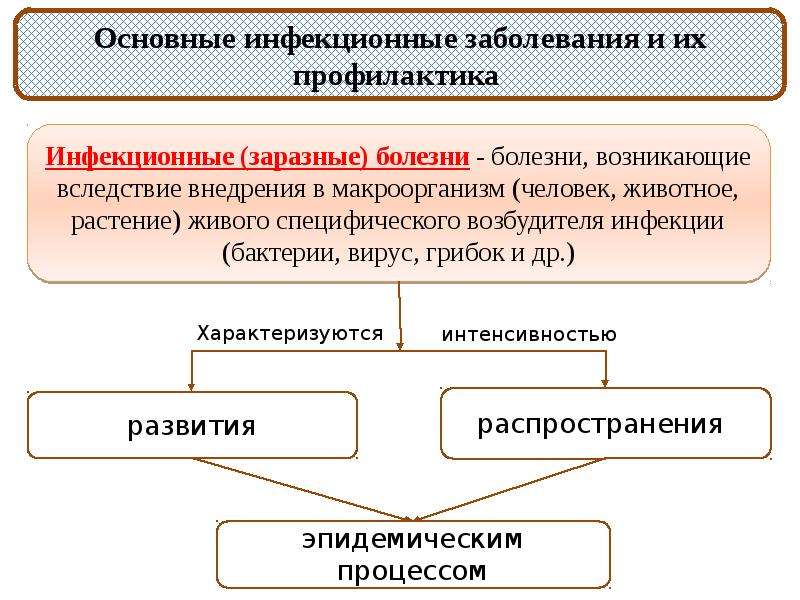 Воспаление презентация по патологии